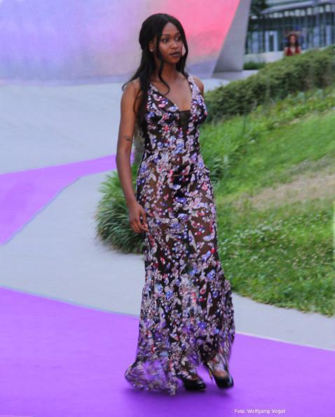 Sexy Radcarpet dressis in multicolor. Transparent, elegant, sexy Abendkleid